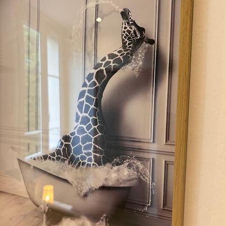Apartament Le Nid Douillet Nanceien Nancy Zewnętrze zdjęcie